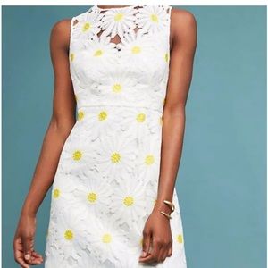 Hutch White Yellow Daisy Flower Appliqué Shift Dress style 1699 size 6